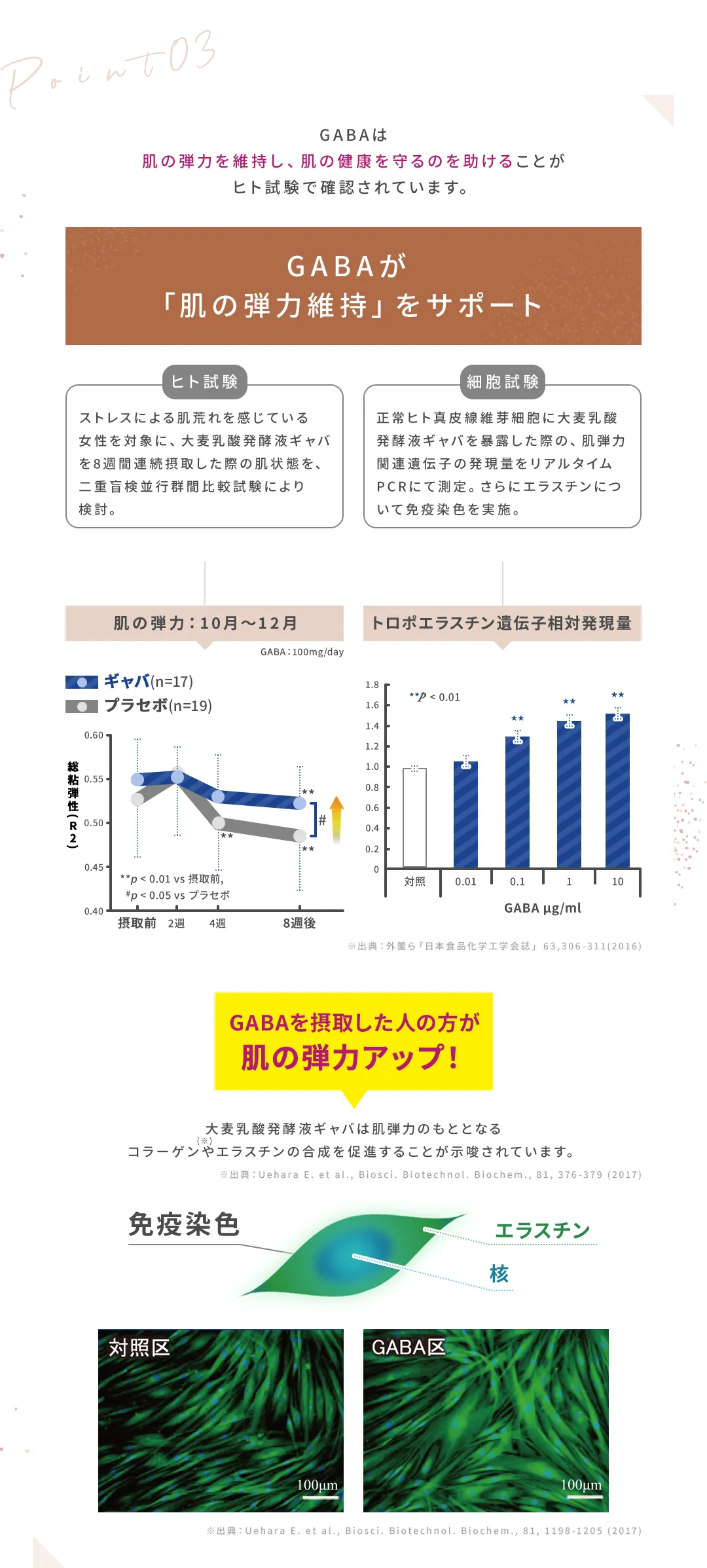 Point03_GABAは肌の弾力を維持し、肌の健康を守るのを助けることがヒト試験で確認されています。_GABAが「肌の弾力維持」をサポート_肌の弾力：10月～12月_トロポエラスチン遺伝子相対発現量_※出典：外薗ら「日本食品化学工学会誌」63,306-311(2016)_GABAを摂取した人の方が肌の弾力アップ！_大麦乳酸発酵液ギャバは肌弾力のもととなるコラーゲンやエラスチンの合成を促進することが示唆されています。※出典：Uehara E. et al., Biosci. Biotechnol. Biochem., 81,376-379 (2017)_※出典：Uehara E. et al., Biosci. Biotechnol. Biochem., 81, 1198-1205 (2017)
