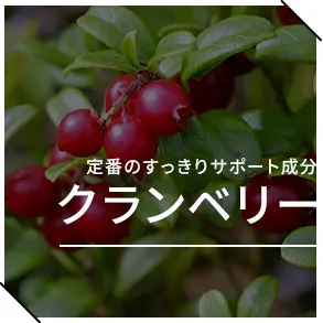 定番のすっきりサポート成分_クランベリー