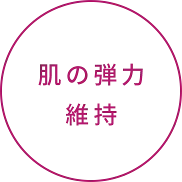 肌の弾力維持